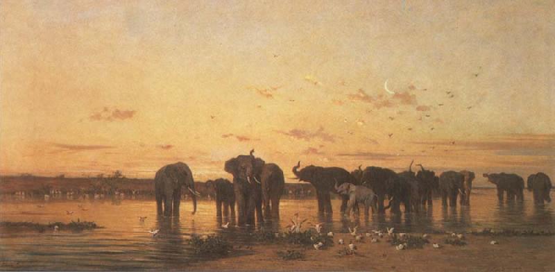  Elephants at Sunset